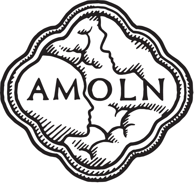 Amoln logo for modernity.co.jp homepage brand presentation