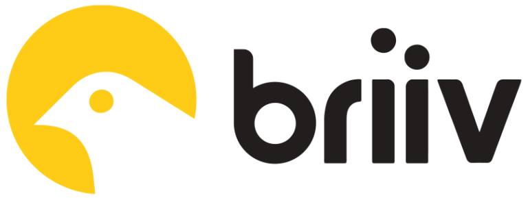 Briiv logo for modernity.co.jp homepage brand presentation